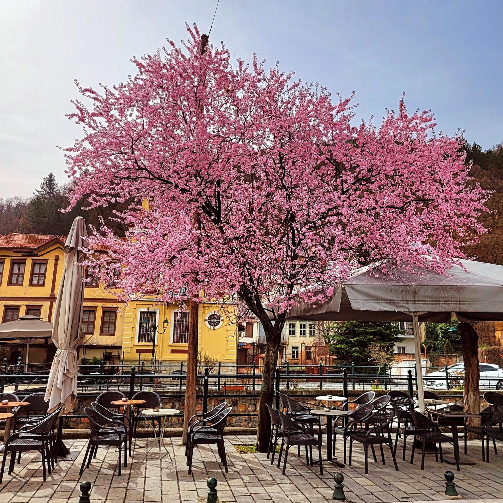 Center River Apartment Florina Exterior foto
